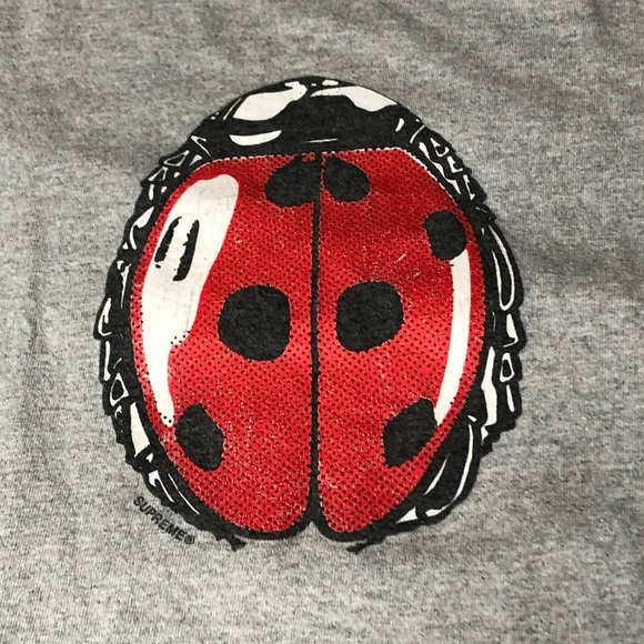 Supreme Gray Ladybug Mens Medium T-Shirt Top - Picture 2 of 5